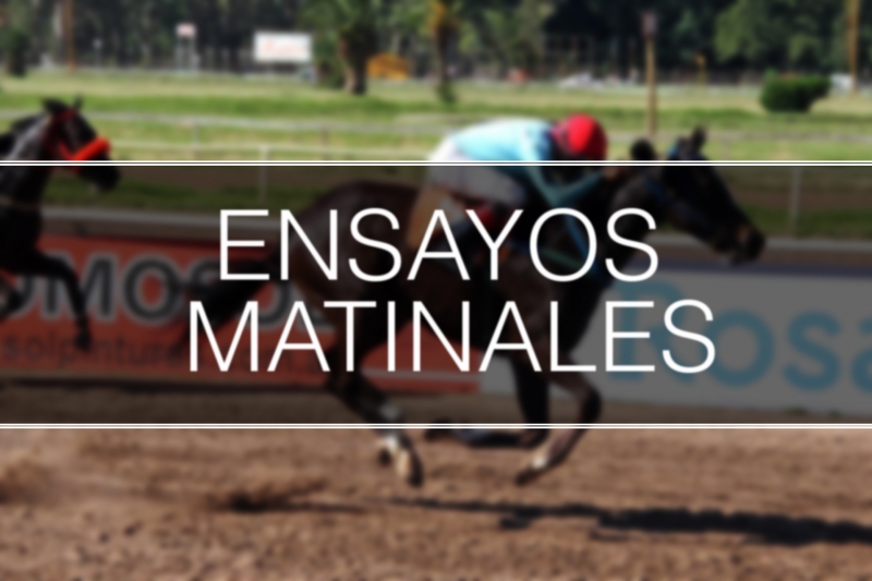 Ensayos matinales